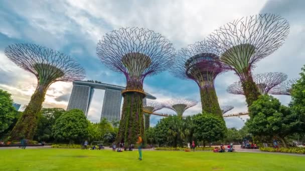 Timelapse As pessoas caminham ao redor de super árvores nos Jardins perto da Baía de Singapura. Agosto de 2017 — Vídeo de Stock