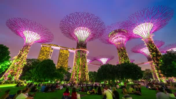 Timelapse ludzie oglądać pokaz świateł, super drzew w ogrodzie przez Singapur Bay w nocy. Sierpnia 2017 — Wideo stockowe