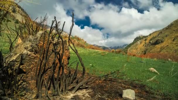 Paisaje dañado por el incendio de Thomas en las montañas de California en timelapse 4K — Vídeo de stock