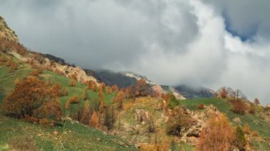 Dağ sırtı kalın bulutlar, taze yeşil otlar ve ağaçlar timelapse 4 k turuncu yapraklarla kaplı ile