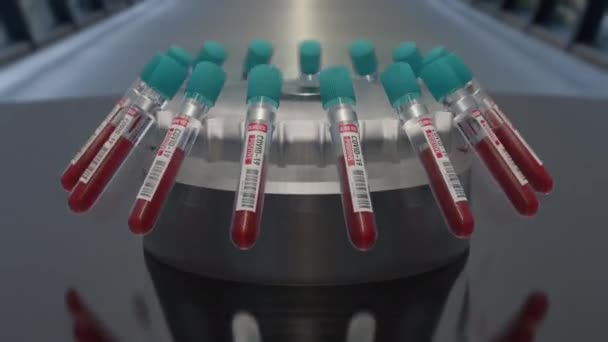 Análisis de sangre positivo Análisis de muestra de sangre en tubos de ensayo para la prueba de coronavirus. Tubos con sangre para la prueba 2019-nCoV o COVID-19. Representación 3D 4K — Vídeos de Stock