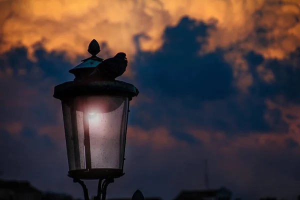 Taube sitzt auf Laterne mit dunklen Wolken — Stockfoto