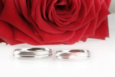 İki gümüş alyansla beyaz masada evlenmeye hazır kırmızı gül..