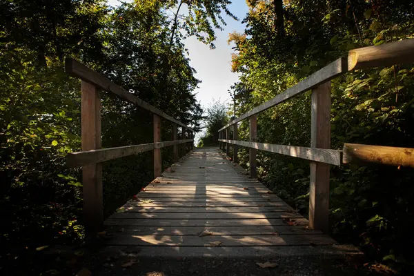 Vieux pont en bois dans la nature avec des lignes convergentes menant à — Photo