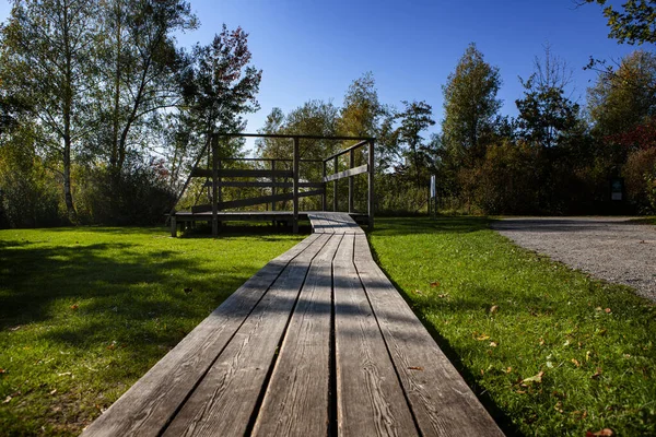 Old wooden bridge in nature with converging lines leading into — 스톡 사진