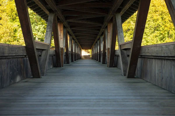 Old wooden bridge in nature with converging lines leading into — 스톡 사진