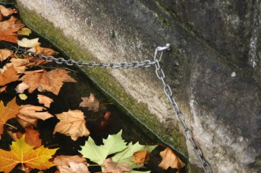 Sonbahar yaprakları zincirli sularda