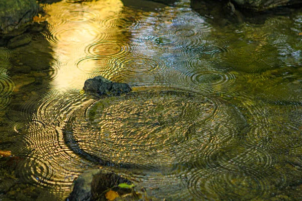 Water with sun reflection with circles — Stock Photo, Image