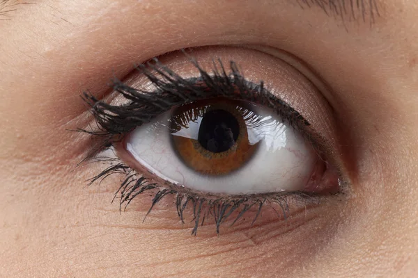 Velké hnědé oči ženy s make-upem — Stock fotografie