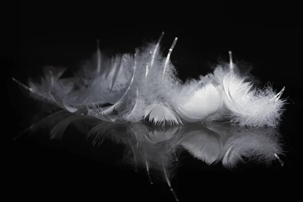 Een extreme close-up en macro foto van veren — Stockfoto