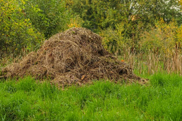 Compostaggio in depositato per ottenere fertilizzante organico . — Foto Stock