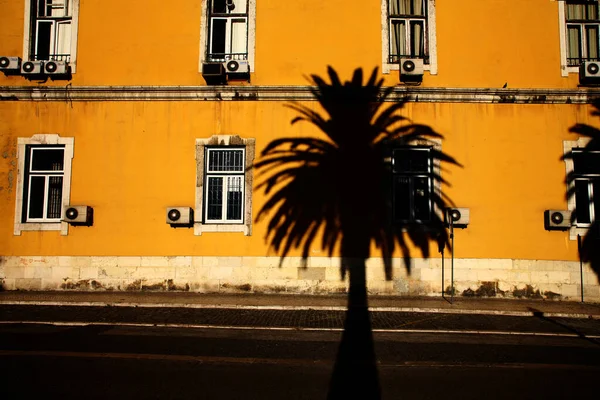 Stín palmy na staré budově města v Portugalsku — Stock fotografie