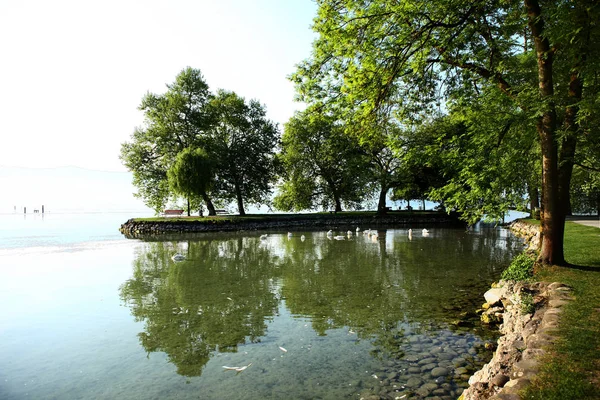 Cham 'daki Vilette Parkı, Canton Zug,