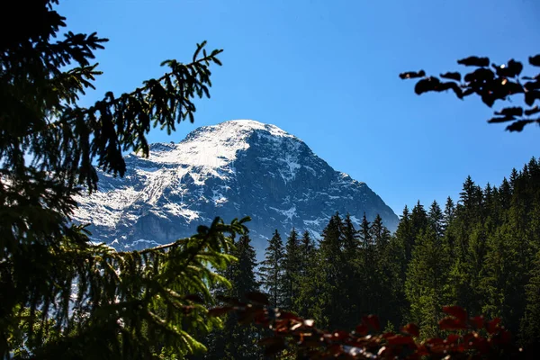 Berg runt grindelwald i Schweiz — Stockfoto