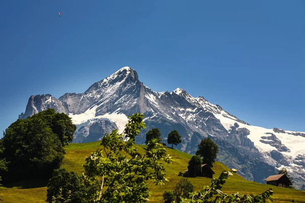 Hory kolem Grindelwaldu ve Švýcarsku — Stock fotografie