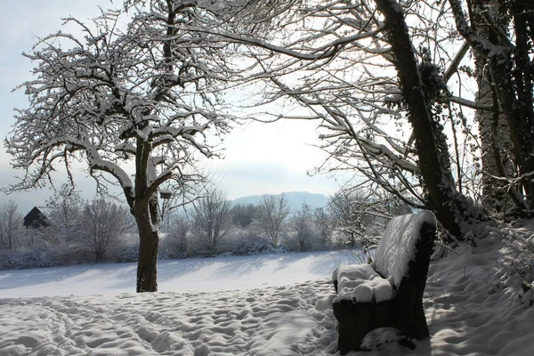 Winter landscape early morning after a light snowfall in Zug, — Stock Photo, Image