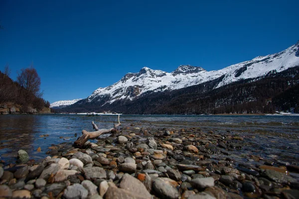 Silvaplana Lake Engadine Švýcarsku Alpské Malebné Jezero — Stock fotografie