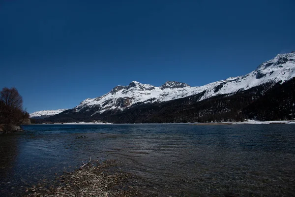 Lago Silvaplana Engadine Suíça Lago Cênico Alpino Imagens Royalty-Free