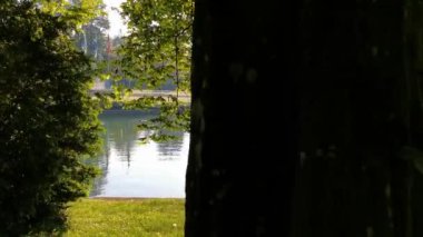 İsviçre 'de huzurlu bir park ve göl videosu. Cham Villette.