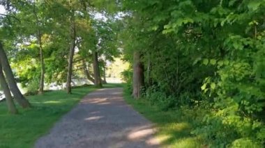 İsviçre 'de huzurlu bir park ve göl videosu. Cham Villette.