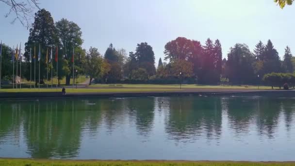 Sviçre Huzurlu Bir Park Göl Videosu Cham Villette — Stok video