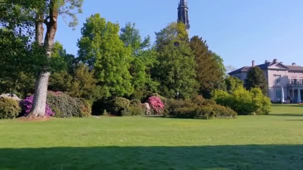 Rustige Ochtend Video Van Een Park Meer Zwitserland Cham Villette — Stockvideo