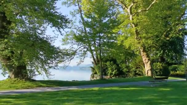 Мирное Утреннее Видео Парка Озера Швейцарии Cham Villette — стоковое видео