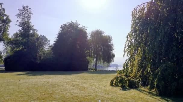 Peaceful Morning Video Park Lake Switzerland Cham Villette — Stock Video