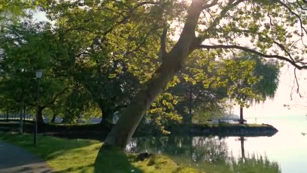 在瑞士的一个公园和湖泊的和平早晨视频 Cham Villette — 图库视频影像