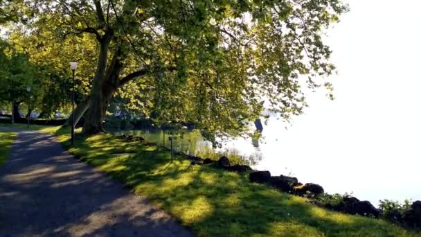 Rustige Ochtend Video Van Een Park Meer Zwitserland Cham Villette — Stockvideo