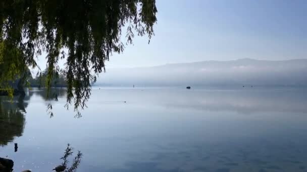 Rauhallinen Aamu Video Puistosta Järvestä Sveitsissä Cham Villette — kuvapankkivideo