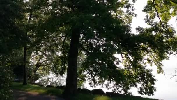 Vidéo tranquille du matin d'un parc et d'un lac en Suisse. Cham Villette