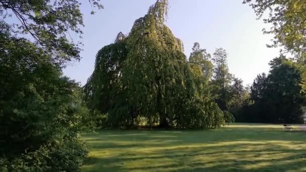 Rustige Ochtend Video Van Een Park Meer Zwitserland Cham Villette — Stockvideo