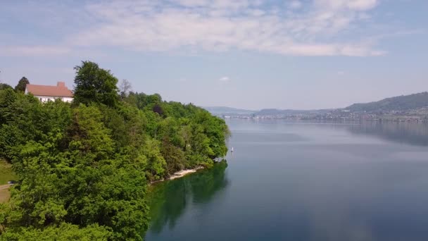 Ειρηνικό Πρωινό Βίντεο Ενός Πάρκου Και Της Λίμνης Στην Ελβετία — Αρχείο Βίντεο