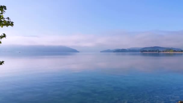Ειρηνικό Πρωινό Βίντεο Ενός Πάρκου Και Της Λίμνης Στην Ελβετία — Αρχείο Βίντεο
