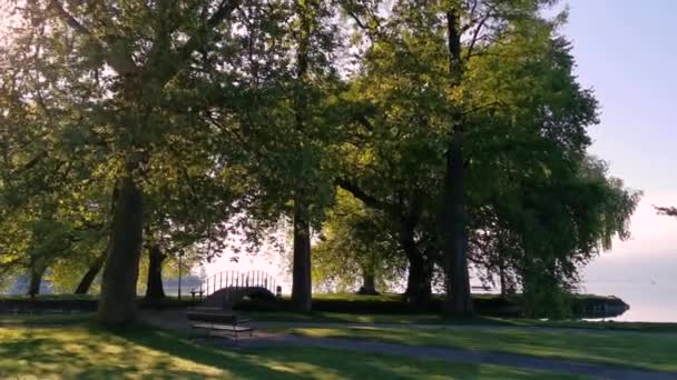 在瑞士的一个公园和湖泊的和平早晨视频 Cham Villette — 图库视频影像