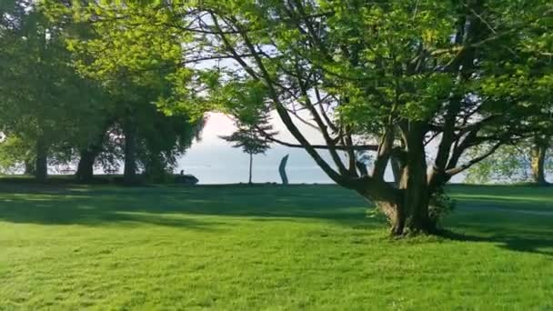 Friedliches Morgenvideo Eines Parks Und Sees Der Schweiz Cham Villette — Stockvideo