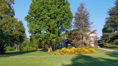 İsviçre 'de huzurlu bir park ve göl videosu. Cham Villette.