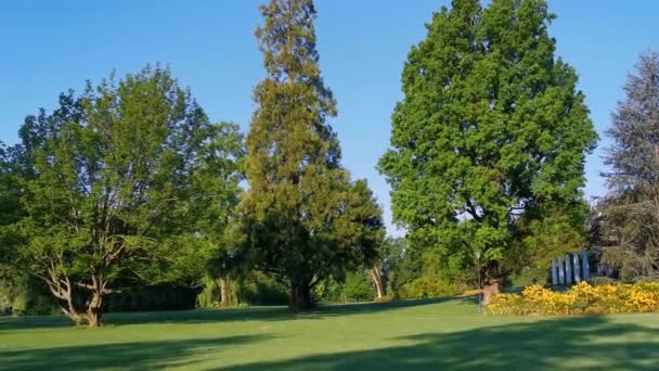 Pacífica Manhã Vídeo Parque Lago Suíça Cham Villette — Vídeo de Stock