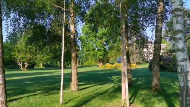 Vidéo tranquille du matin d'un parc et d'un lac en Suisse. Cham Villette