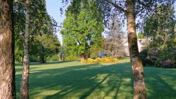 Rustige Ochtend Video Van Een Park Meer Zwitserland Cham Villette — Stockvideo