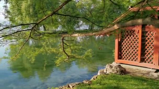 Спокійне Ранкове Відео Парку Озера Швейцарії Cham Villette — стокове відео