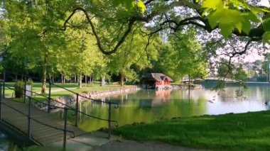 İsviçre 'de huzurlu bir park ve göl videosu. Cham Villette.