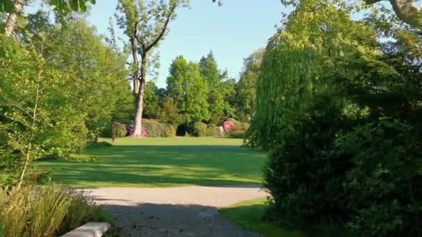 Video Por Mañana Tranquilo Parque Lago Suiza Cham Villette — Vídeos de Stock