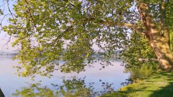Tranquillo Video Mattutino Parco Lago Svizzera Cham Villette — Video Stock