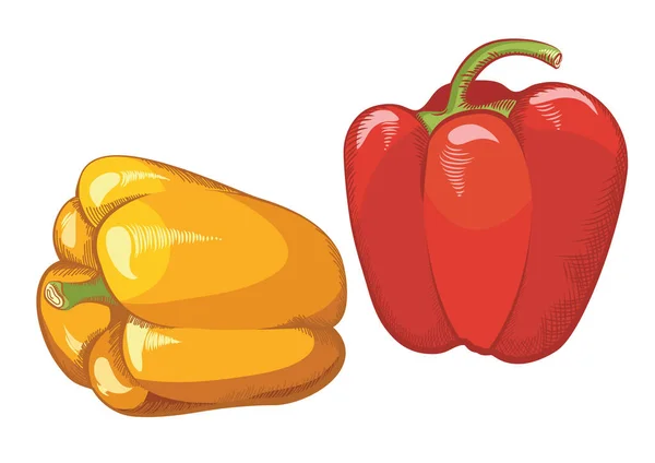 Сладкий Перец Желтый Красный Перец Изолированы Белом Здоровый Вегетарианский Овощ — стоковый вектор
