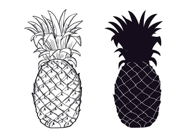 Pineapple Black Silhouette Vector Hand Drawn Fruit Illustration Isolated White — Stock Vector