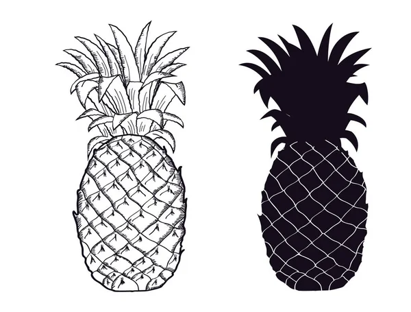 Pineapple Black Silhouette Vector Hand Drawn Fruit Illustration Isolated White Stock Vector