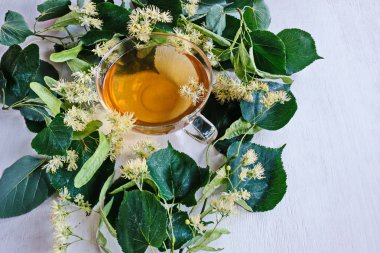 Bir bardak yeşil çay ve ıhlamur çiçekleri. Soğuk algınlığı ve enfeksiyonlar için vazgeçilmez bir tedavi. Bu çay bağışıklığı arttırır, toksinleri temizler, ağırlığı azaltır. Yukarıdan manzara. Boşluğu kopyala.