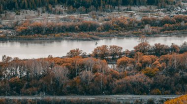 Yırtıcı kuş nehrin üzerinde süzülüyor
